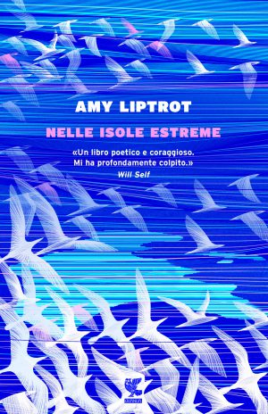 nelle isole estreme di amy liptrot