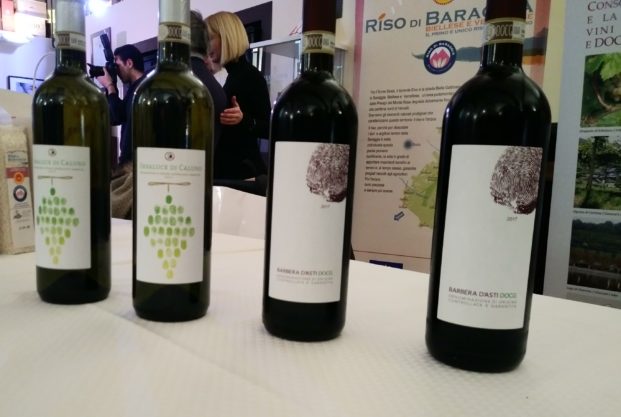 erbaluce barbera