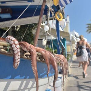 Fresh octopus sits out before being cooked in Naxos Greece. Photo Michael Lepetit