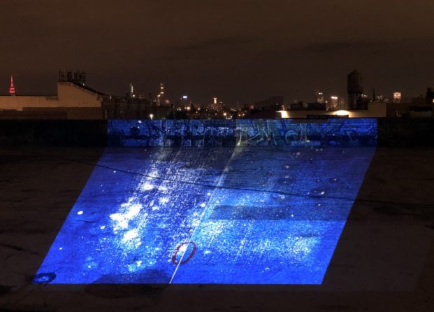 L'opera di Angelica Bergamini a Brooklyn