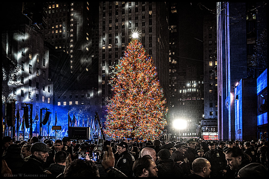 L’albero di Natale? Non si smonta, si “attualizza” secondo la stagione