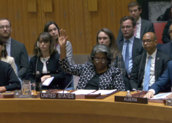 Il momento del veto degli USA posto alla risoluzione dall'Ambasciatrice Linda Thoams-Greenfield (screenshot)
