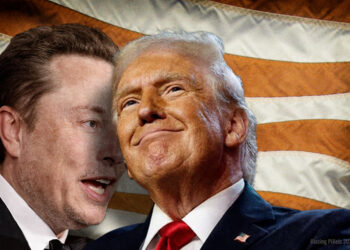 Musk_Donald_Trump 2_0225 Montage: Blazing Pixels