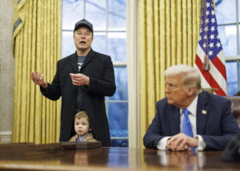 Elon Musk and Donald Trump in the Oval Office (ph: ANSA)