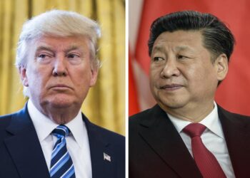 Donadl Trump e Xi Jinping  ANSA/EPA/JIM LO SCALZO/FILIP SINGER