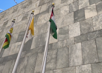La bandiera palestinese al Palazzo di Vetro dell'ONU (Foto VNY)