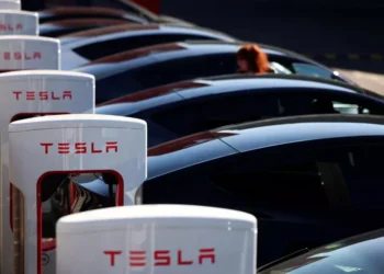 Auto Tesla/Ansa
