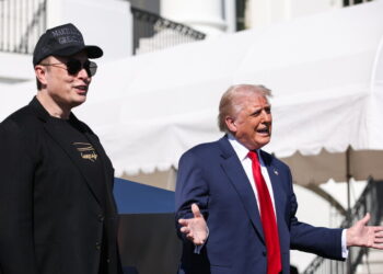 Elon Musk e Donald Trump/ANSA