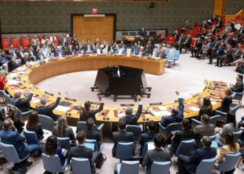 14 UN Security Council members voting in favour of the draft resolution. The US will block the majority with a veto. (UN Photo/Eskinder Debebe)