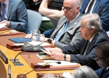 Secretary-General António Guterres briefs the Security Council meeting on Poverty, Underdevelopment, and Conflict. (UN Photo/Evan Schneider)