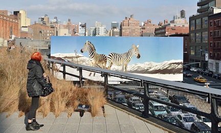 Un'installazione sulla High Line