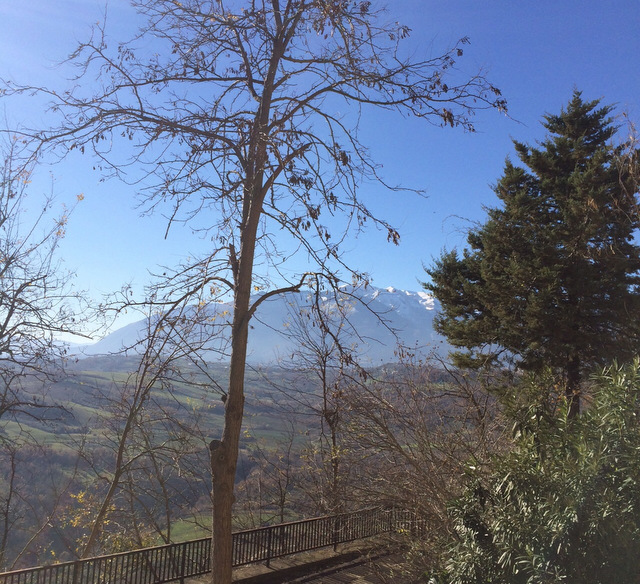 vista 2