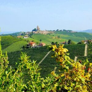 langhe